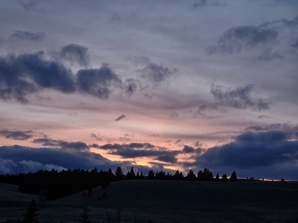 O'teach John tweet media