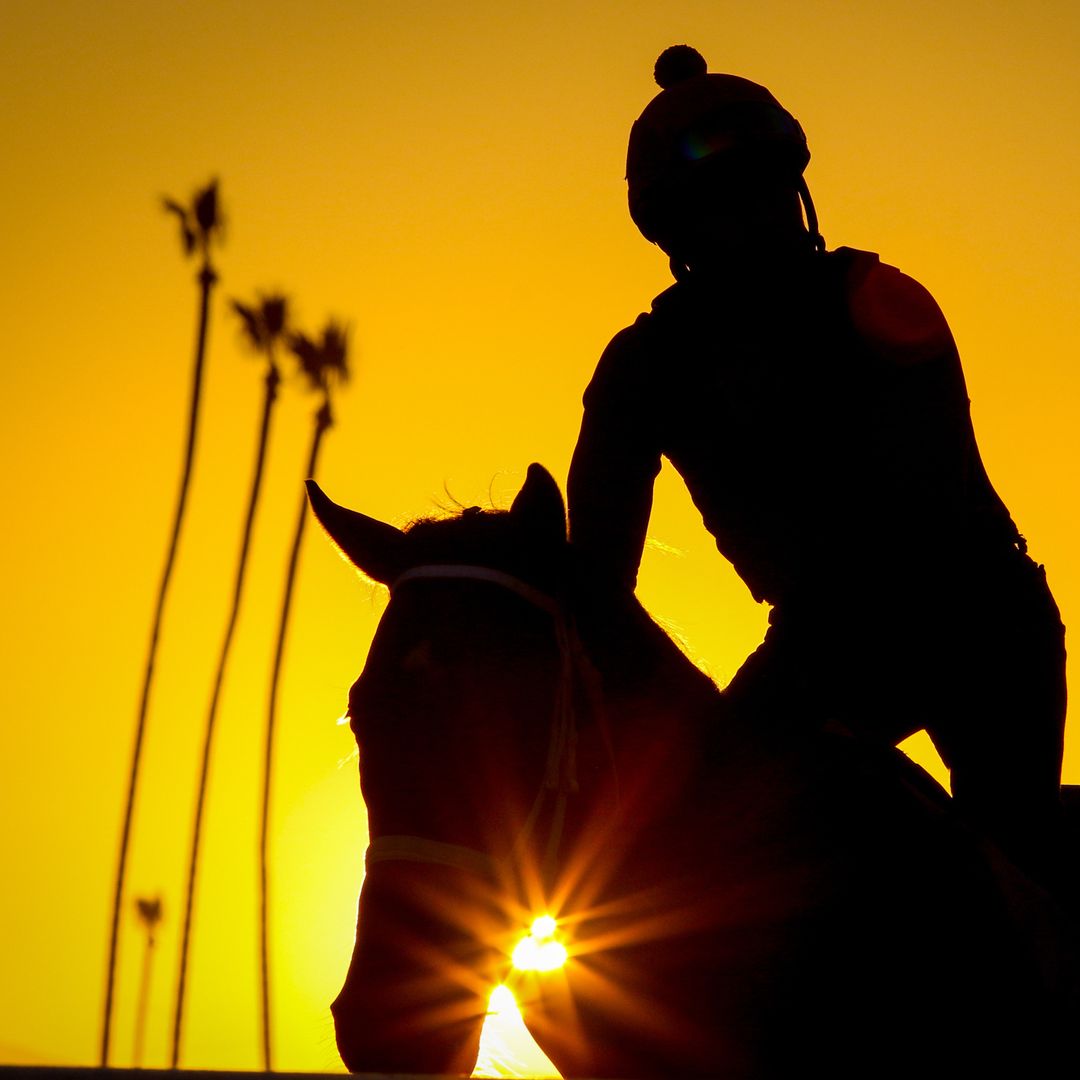 Golden Gate Fields (@ggfracing) on Twitter photo Good morning, track stars. #GoldenGateFields Good morning, track stars. #GoldenGateFields
