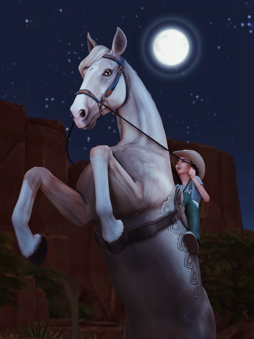 The Moon Rider 🌕