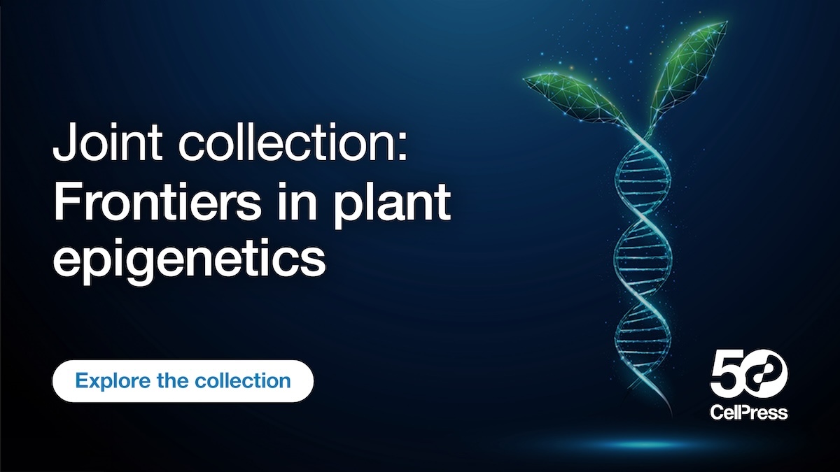 Explore a new joint collection from #MolecularPlant, #PlantCommunications (@MPlantPCom), and @TrendsPlantSci: Frontiers in plant epigenetics
hubs.li/Q02s3qrn0