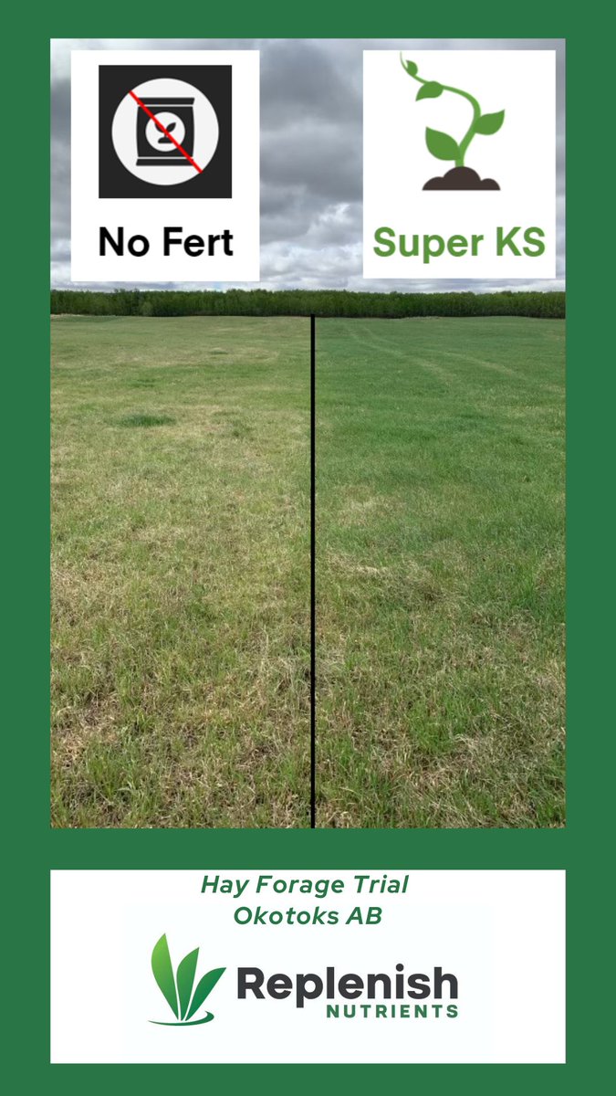 Replenish Nutrients tweet media