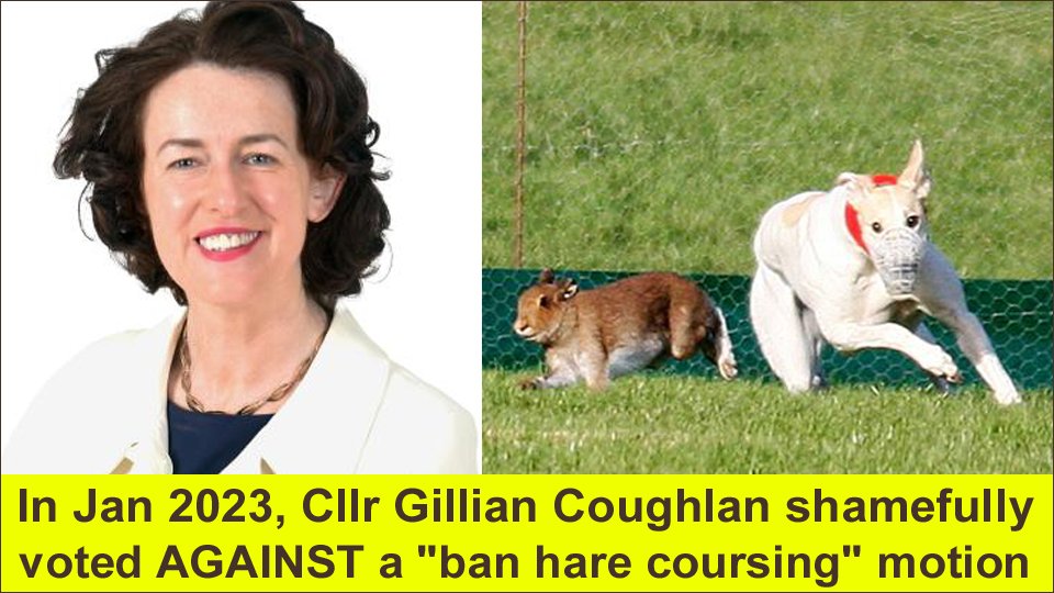 At a meeting of Cork Co Council, #LE24 candidate Gillian Coughlan (FF #Cork #Bandon #Kinsale) shamefully spoke in favour of cruel coursing & said a ban on the bloodsport would be an example of “cancel culture” banbloodsports.wordpress.com/2019/08/31/cor… REJECT #LE2024 candidates who support cruelty