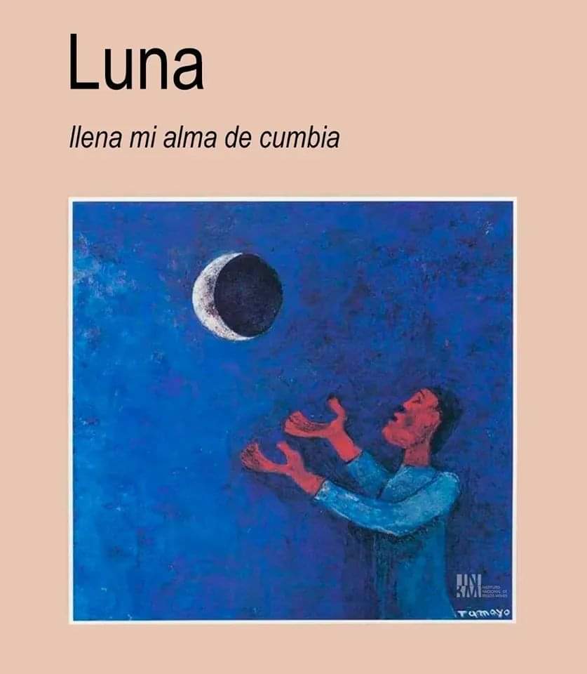 INBMemes's tweet image. 