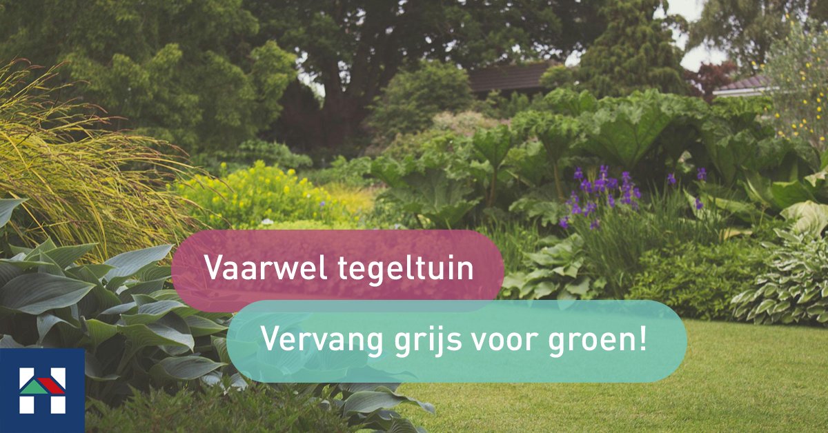 🌿 Tegeltuinen zijn natuurlijk lekker praktisch. Maar wist je dat een groene tuin goed is voor het klimaat, je woonplezier, dieren, je comfort, je portemonnee, je humeur én de verkoop van je woning? 🌷🌻 Bekijk de 6 grootste voordelen van een groene tuin!

loom.ly/VIuMWPo