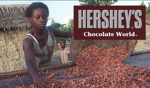 Chocolate prices are soaring. Not because of inflation or supply chain issues. But because the chocolate industry is in crisis, thanks to climate change and Big Chocolate prioritizing its own profits. A bittersweet 🧵