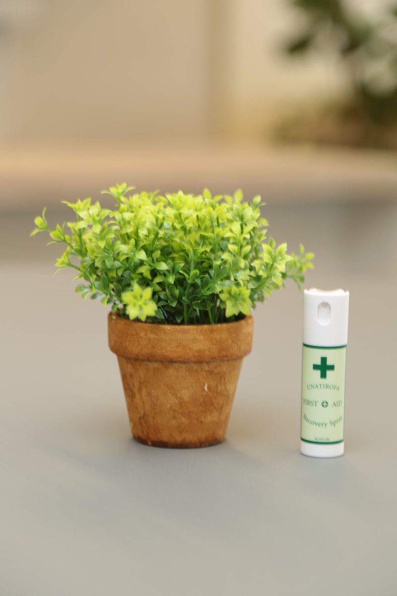 Putting a first-aid spray next to a potted plant makes the plant kinda look like a green herb, huh? #REBHFun