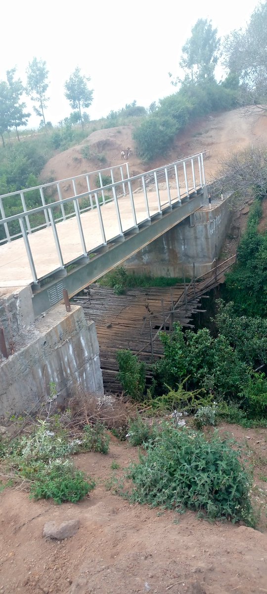 Kingsmainasteve's tweet image. #solai #kwabota #wanyororob #kingsmainamssteve #share #repost