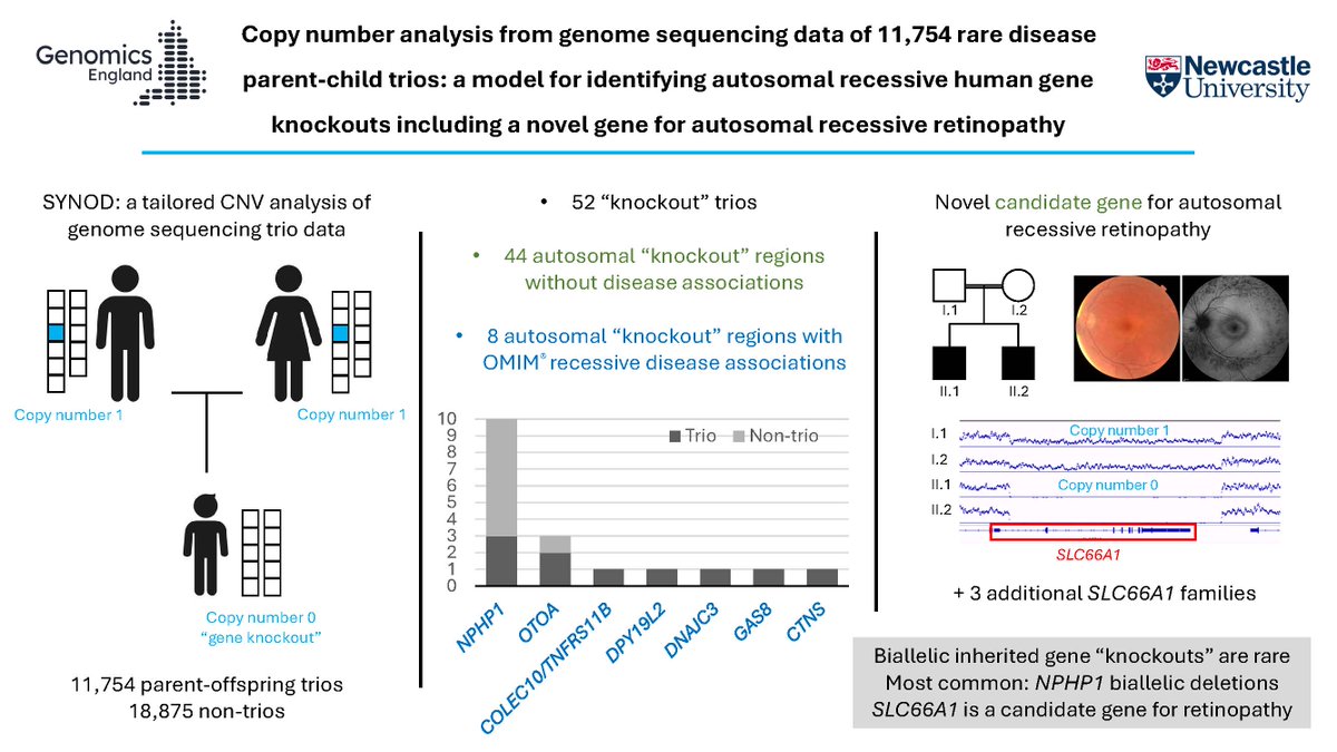 Trio copy number analysis of Genomics England 100,000 Genomes Project identified rare biallelic deletions and SLC66A1 as a novel cause for autosomal recessive #retinopathy bit.ly/3vHPPJs @ericolinger1 @johnasayer #GIMO #GenomeSequencing #CNVAnalysis #Nephronophthisis