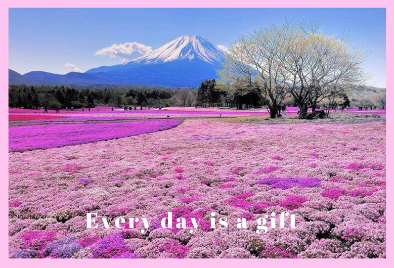 Have a nice week, friends! 
☀️🌈✨❤️✨🧡✨💛✨💚✨💙✨💜✨🌸🌿🌸🌿🌸🌿

#Haveaniceweek #everydayisagift #gift  #Love