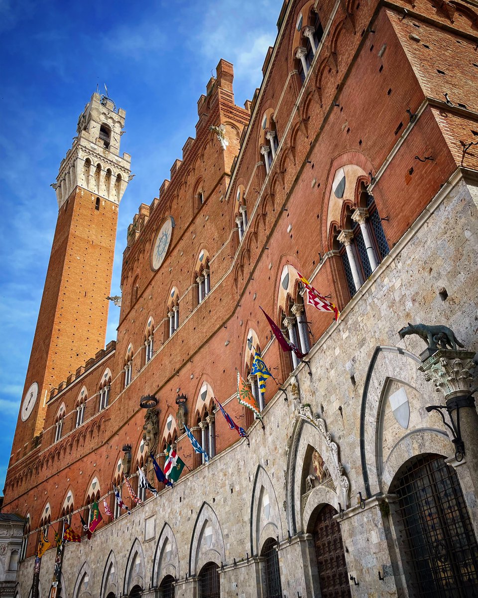 Today in #Siena