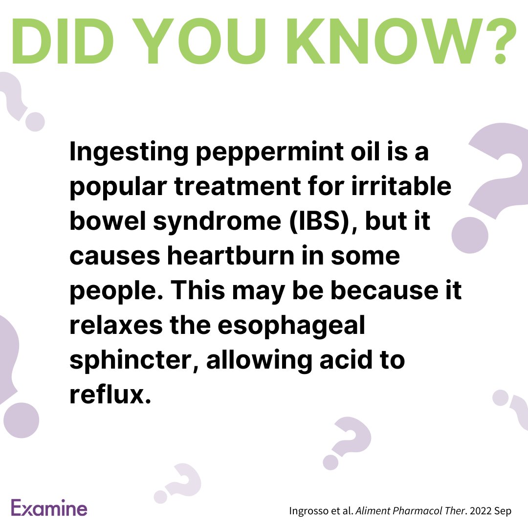 Did you know? Ingesting peppermint oil is a popular treatment for irritable bowel syndrome (IBS), but it causes heartburn in some people. This may be because it relaxes the esophageal sphincter, allowing acid to reflux. Learn more about IBS: examine.news/tw240408 #examined