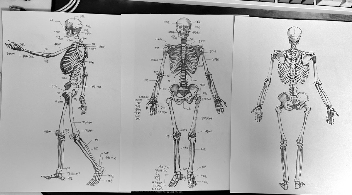 몽구 (@mongu0828) on Twitter photo 