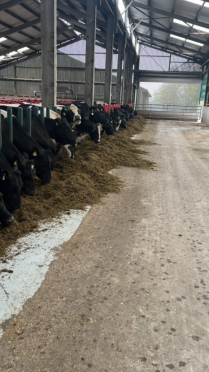 UCD Systems Herd tweet media