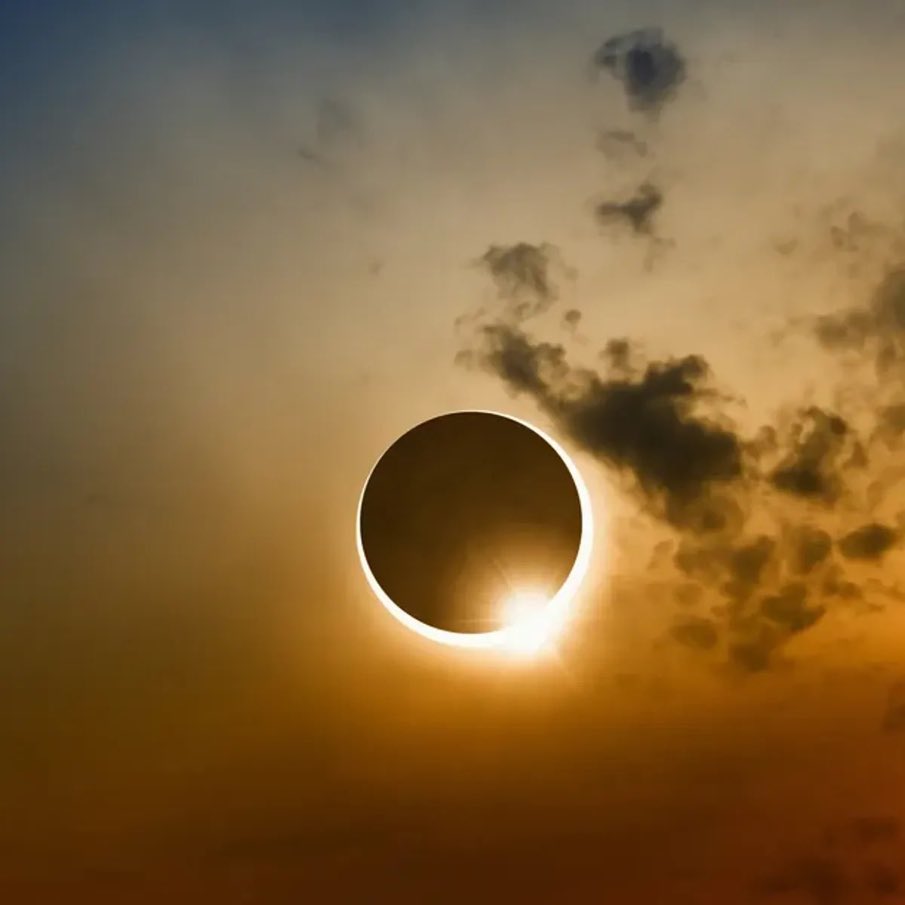 First the mermaid now this!!!! #Eclipse2024