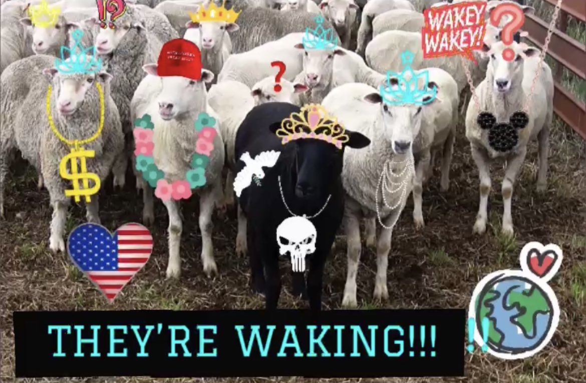 💙💙💙🤣 Great job to all YOU magnificent Black Sheep’s on earth! It’s been a lonely / hellish journey for so many 🖤🐑’s. Someone had to do it. 🌱🌱🌱 Bee 🐝 honored 🌹God woke you 🫵for a very specific reason. Only the finest we’re CHOSEN. 🗝️🌱🙏🌹🌎🕊️💙💙💙🕊️☀️🌈🎺⌛️🥰😇 #Love