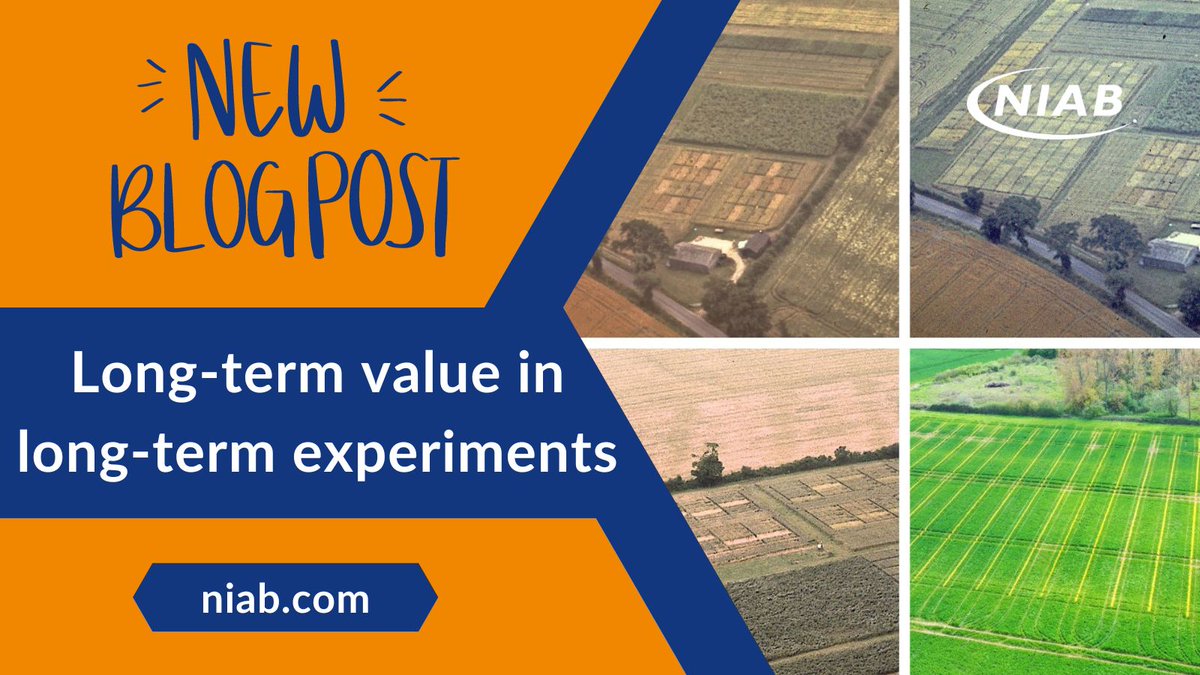 New #Blog: Soils and farming systems specialist David Clarke walks us through the rich resource of long-term agricultural experiments, that provide vital insights into how modern farming practices are impacting soil health and crop productivity ➡️ ow.ly/f17R50RaAtH