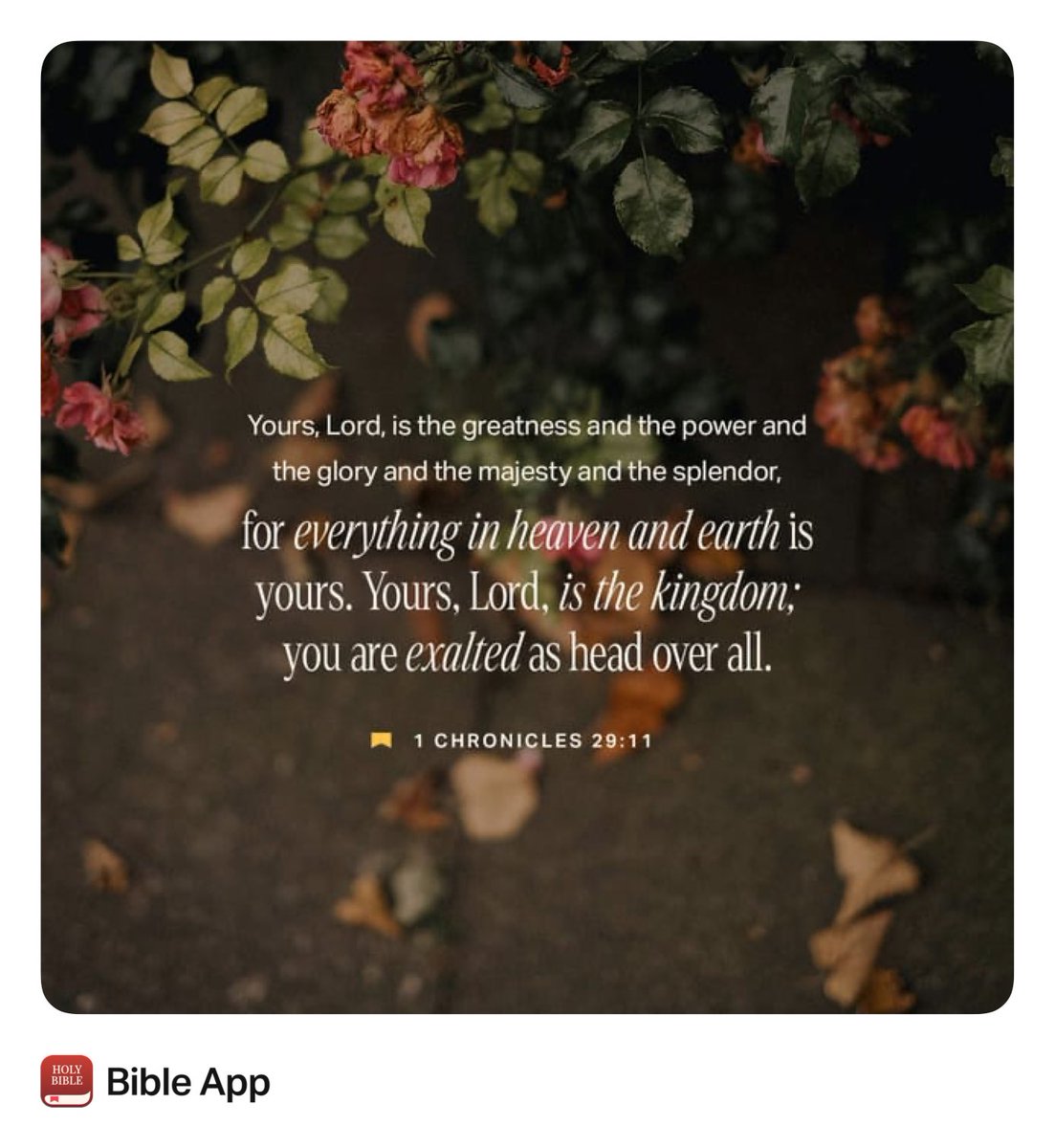 LoveKeyara's tweet image. 