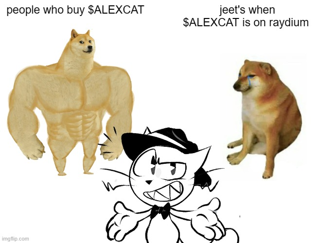 Alex The Cat tweet media