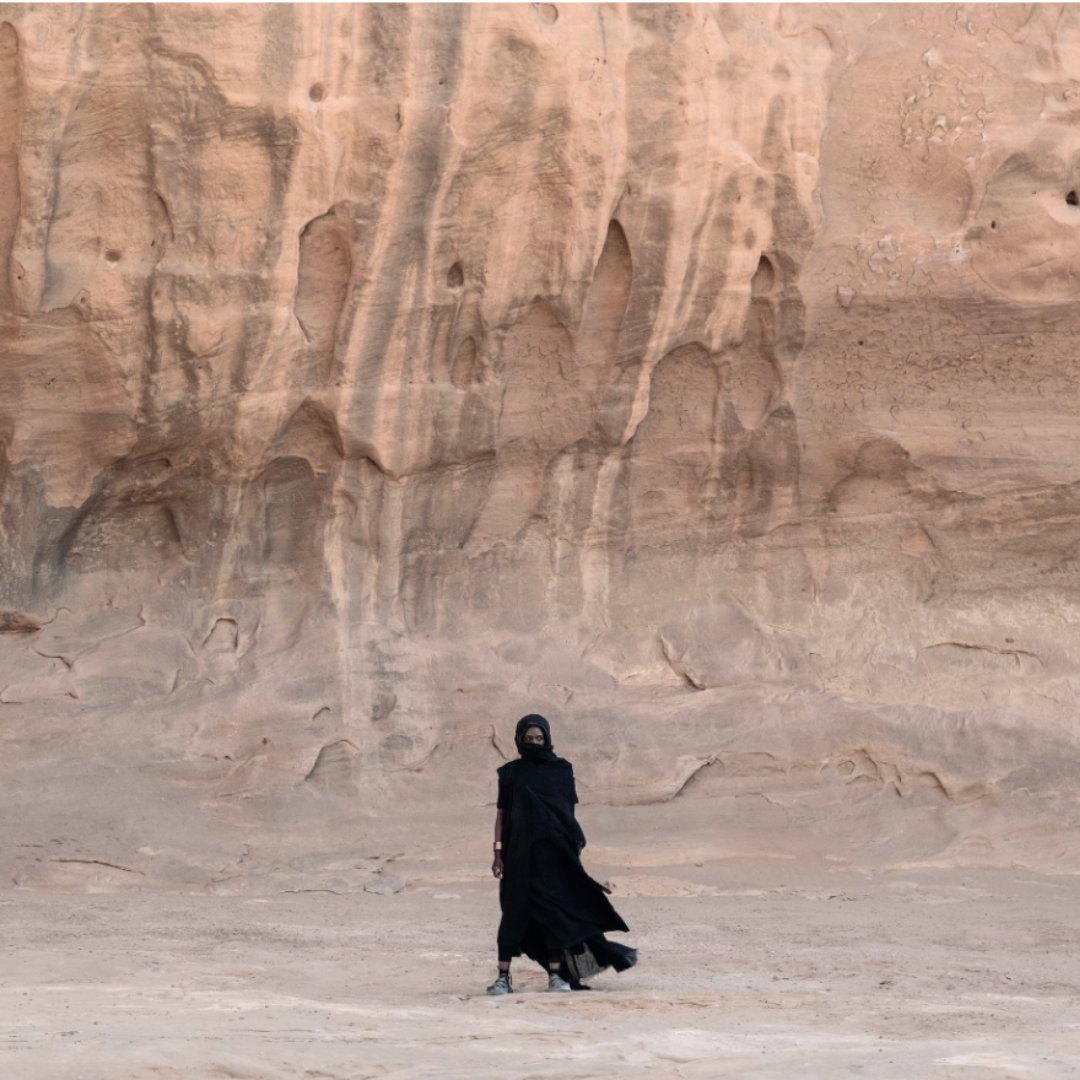 Insight Editions tweet media