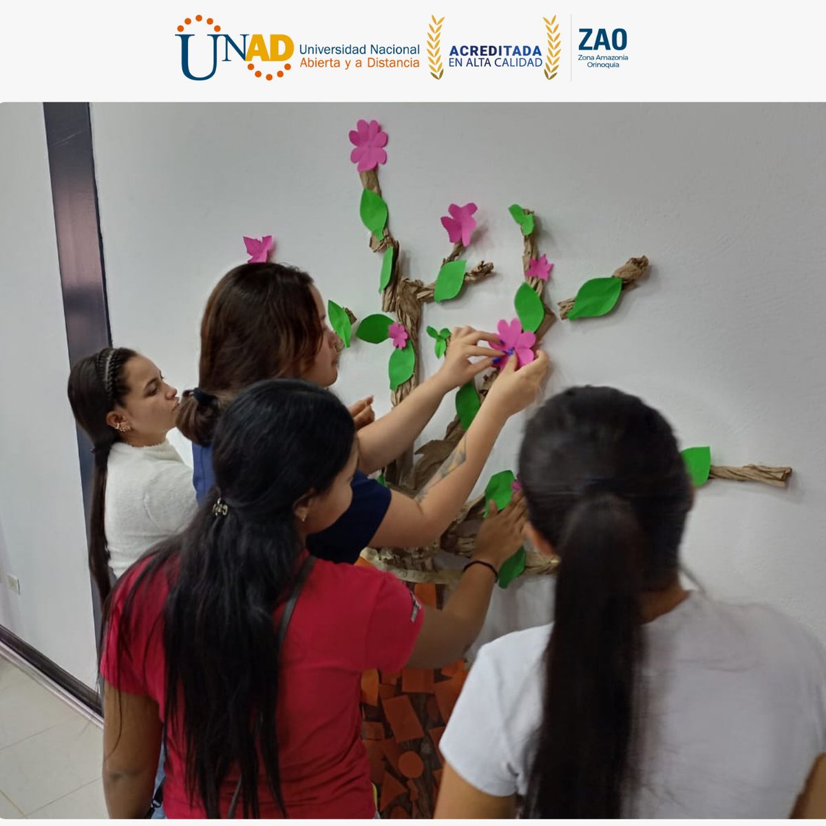 unadzao's tweet image. ¡🌟 Se inicia el desarrollo de CIPAS Territorial en el CCAV San José del Guaviare! 🌟 Con el desarrollo de la acogida y árbol territorial SISSU 🌳, ¡queremos promover competencias solidarias en nuestros estudiantes! 💪📚 #EducaciónSolidaria #CIPAS #CCAV