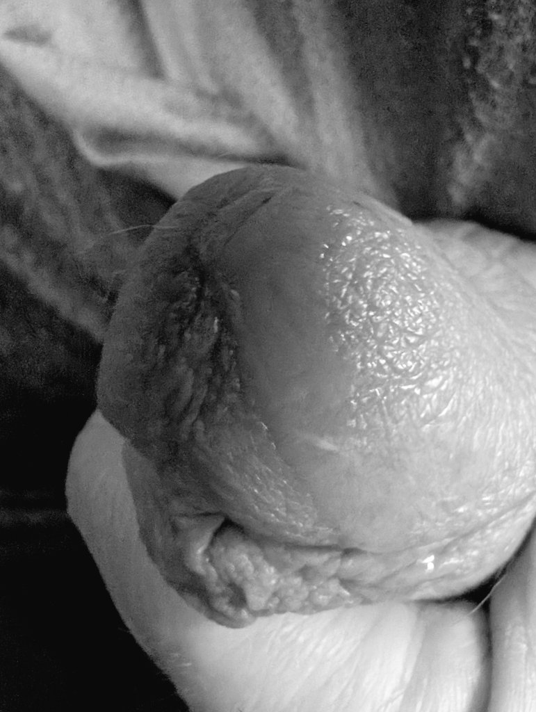 dadbod5back's tweet photo. When the morning starts with some #ass #pussy #tits #milf #dmchat it's hard to focus on work. #edging #needtocum #hornyasf #cumming #nsfwtwt https://t.co/Uu34mxDJk3