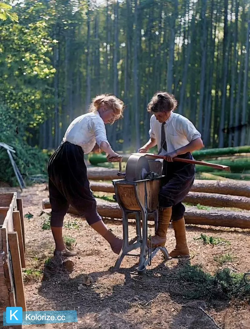 Kolorize (@photocolorizer) on Twitter photo 