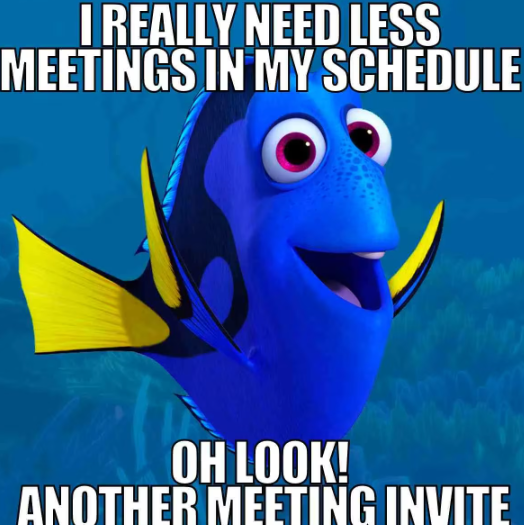 The Joys of Back-to-Back HR Meetings #smes #smeconsulting #hrchallenges #all4hr #hrhumor #all4hr