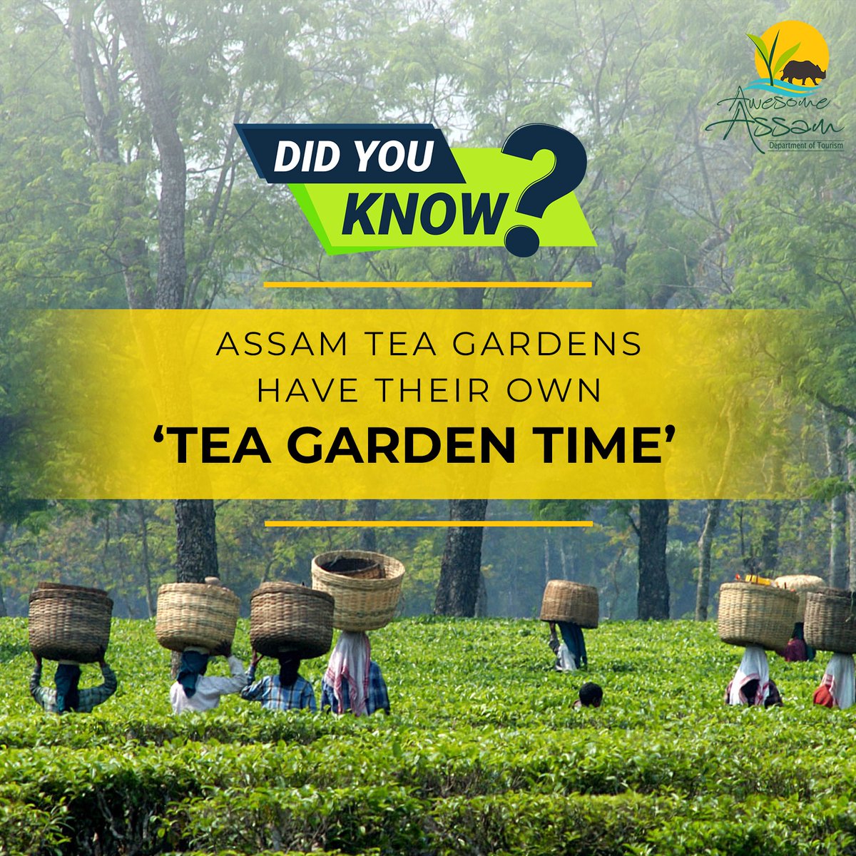 Many tea gardens in Assam still follow the ‘tea garden time’ or ‘bagaan time’ which is an hour ahead of the Indian Standard Time (IST). This system was introduced during the British days, to improve the productivity of tea workers.

#AwesomeAssam #AssamTourism #Assam #VisitAssam…