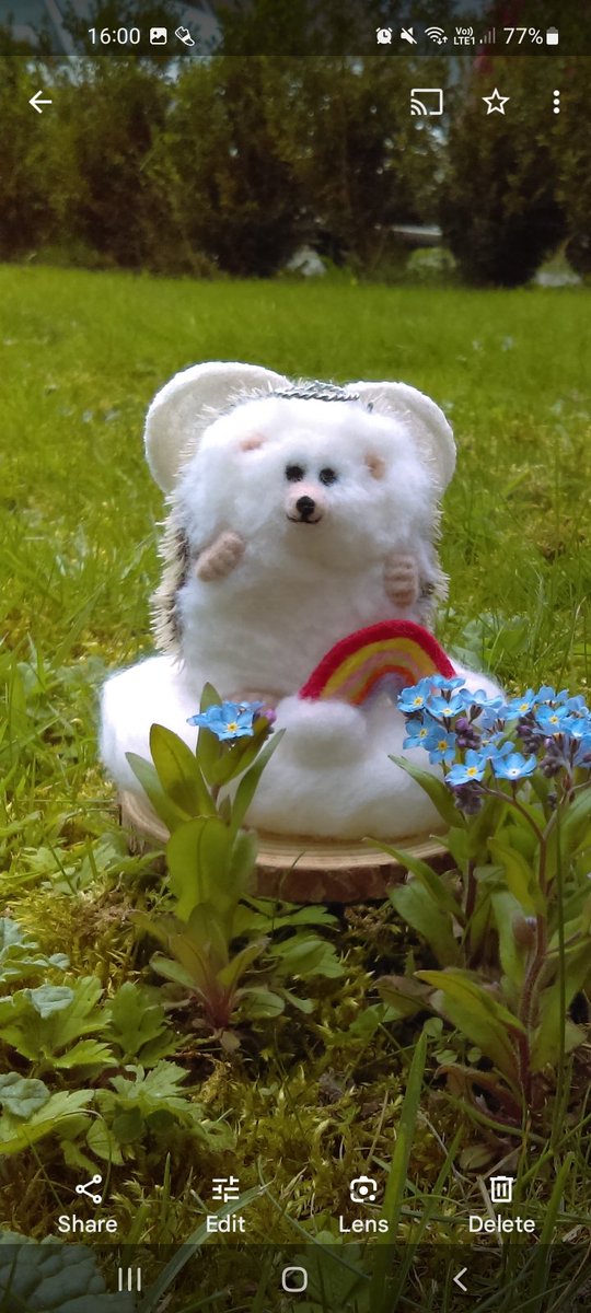 fafferoffluff's tweet photo. Monday Memories 

Little Rainbow Angel Hog. 🌈 😇 ♥ 

Short and to the point post today - migraines and chronic fatigue suuuuuuck. 

April 2017

#fafferoffluff #mondaymemories #minihogs #miniaturemaker #pricklebums #shropshire #consciouscrafties #talentbeyondchallenges https://t.co/VUGrg3x90T