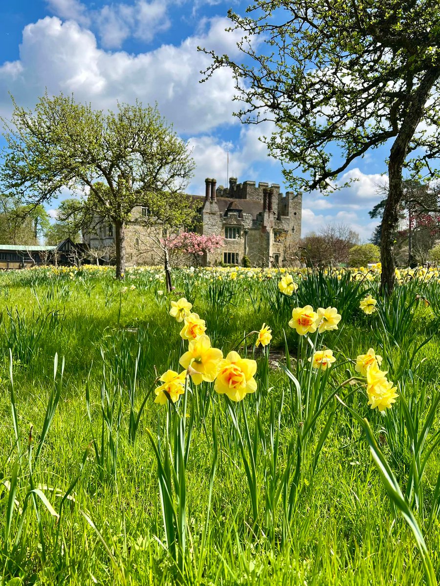 An idyllic view of the Castle from Anne Boleyn’s Orchard 💛 #HeverCastle