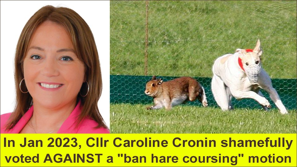 At a meeting of Cork County Council in January 2023, #LE24 candidate Caroline Cronin (Fine Gael, #Cork #Bantry) shamefully voted AGAINST a motion calling for a ban on cruel hare coursing 👎👎 banbloodsports.wordpress.com/2019/08/31/cor… REJECT #LE2024 candidates who support animal cruelty