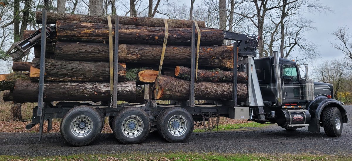 FOR228 Chainsaw Safety, Maintenance, and Operation in Forest Management trees felled by the students, bucked for maximum profit by the PSU Forester, and hauled to a local sawmill. The tri-axle load was a mix of logs suitable for railroad/bridge ties, pallet, and grade quality.