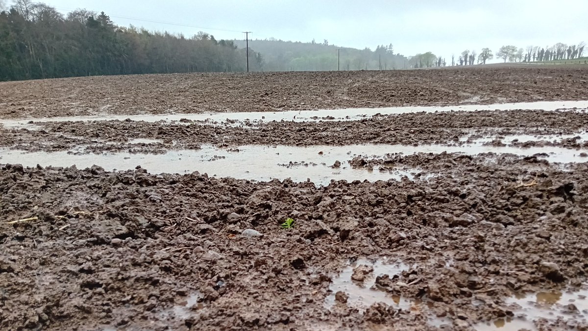 I think we can safely assume that we won't be getting any barley sown this evening.