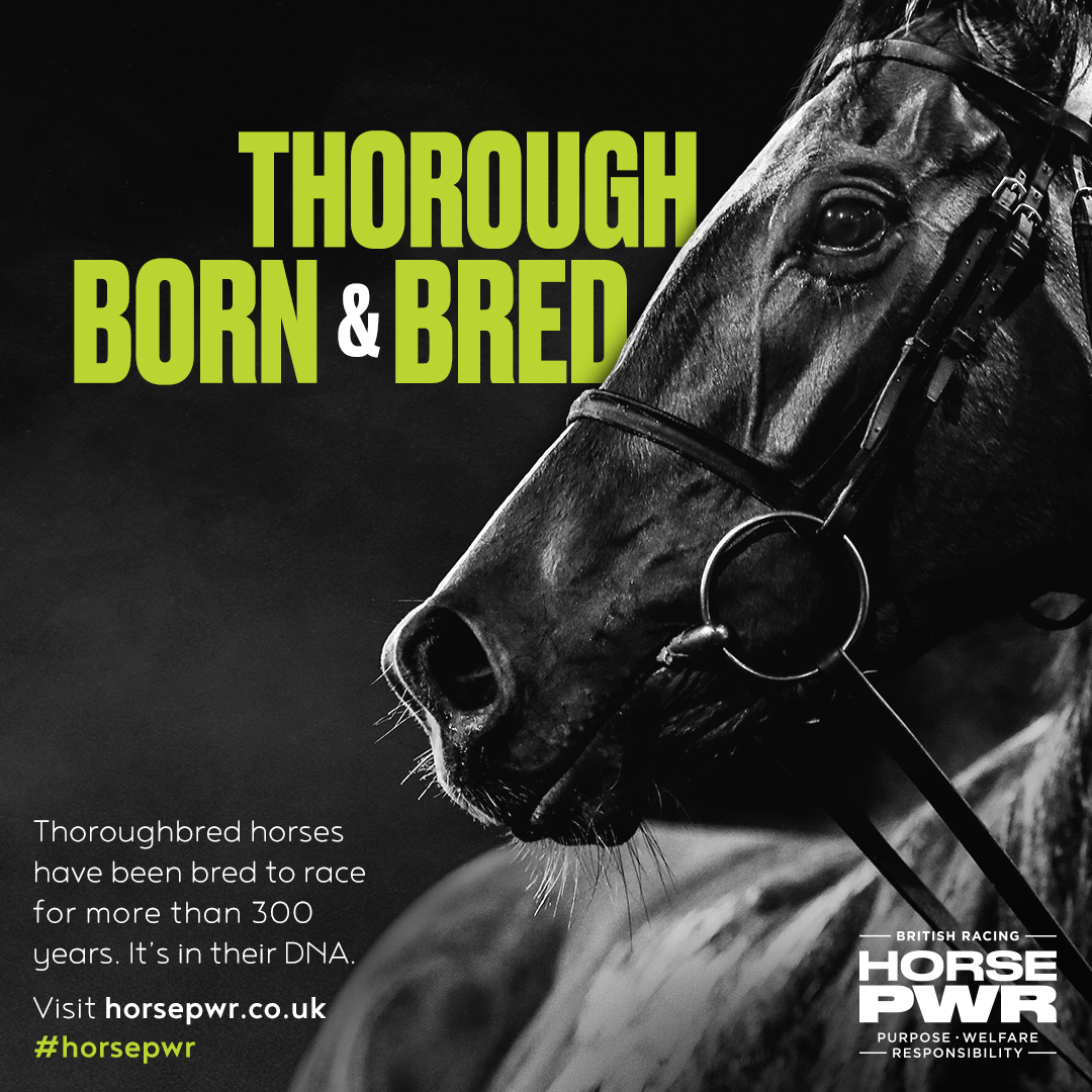 Racing is in their DNA. Get the facts: horsepwr.co.uk #HorsePWR @TheTBA_GB