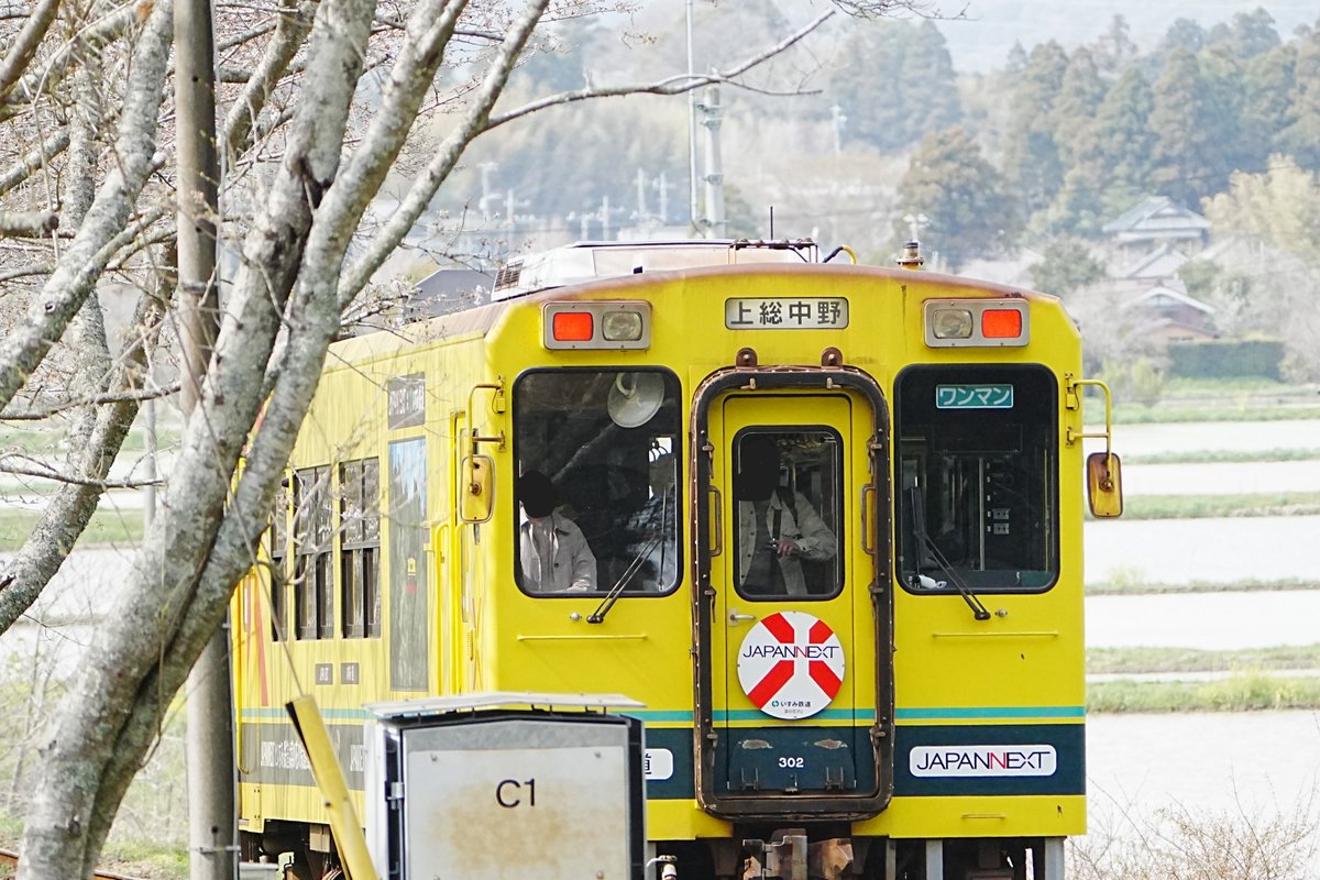 【いすみ鉄道で撮り鉄気分】 #いすみ鉄道 #撮り鉄気分 #photo #chiba #sony #α7IV 桜満開までは3日早い日程でしたが初めて撮るものばかりでワクワクの一日でした。 #写真好きな人と繋がりたい #ファインダー越しの私の世界