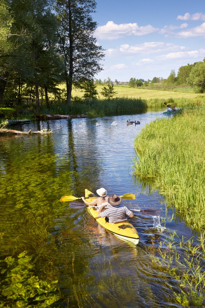 🚣🏻‍♀️ Delve into the breathtaking beauty of the Krutynia River, a kayaking paradise nestled in the heart of Europe! Spanning an impressive 110km, this majestic waterway meanders past 17 serene lakes, and winds its way through the lush thickets of the Piska Forest. #visitpoland