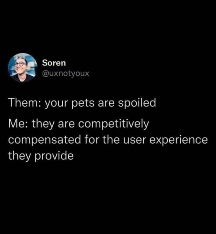 Not spoiled, just competitively compensated. 📸 I Love My Dog 
on.fb.me/1gbkSh2  

#petmemes #pets #dogs #cats