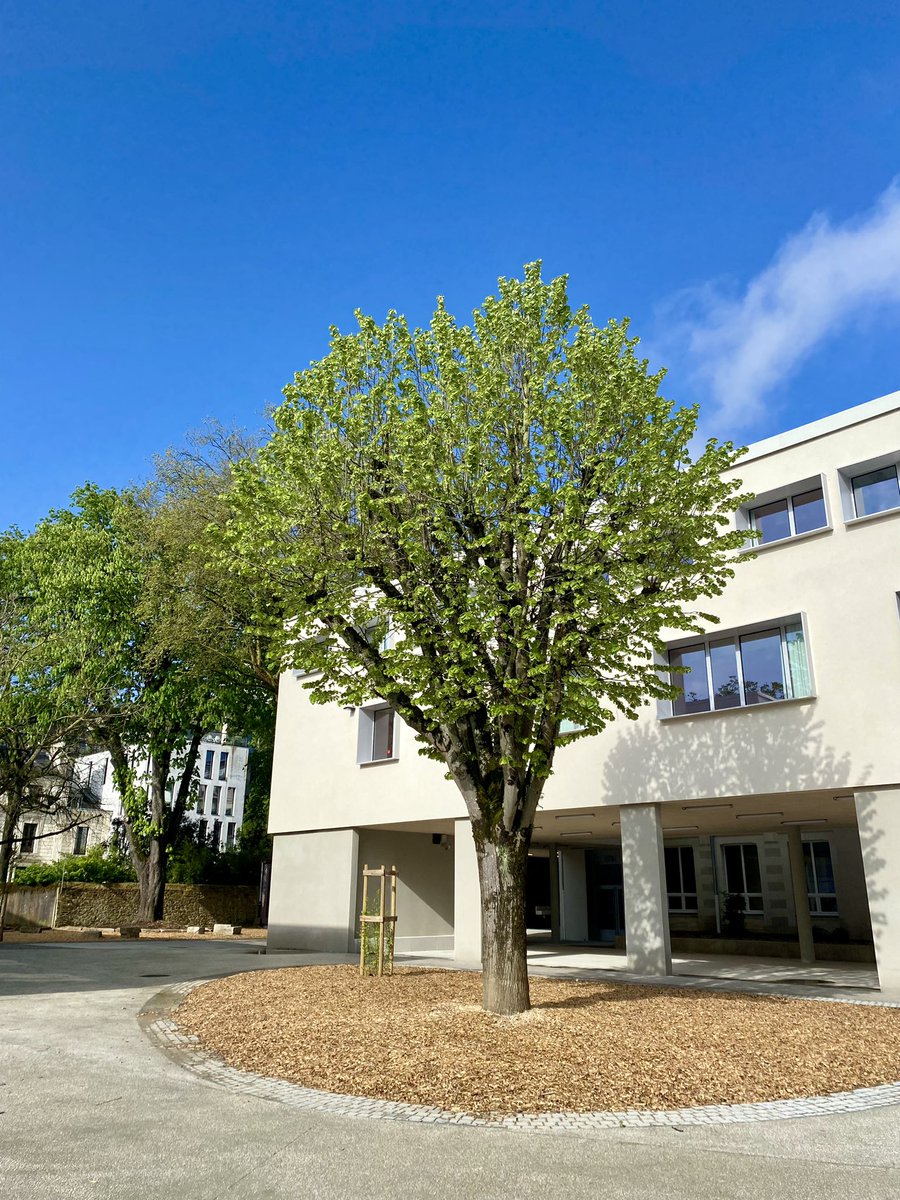 À cinq mois de la rentrée scolaire, j'ai visité ce matin le futur collège de #Nantes centre. C'est une étape marquante dans la concrétisation du projet du Département de #LoireAtlantique pour la #MixitéSociale, l’égalité des chances et la lutte contre une école à deux vitesses.