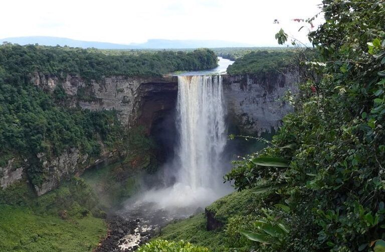 'What's really at stake in the Venezuela-Guyana land dispute? There's a notable lack of discussion about the immense ecological importance of the Essequibo region.' -Jean La Rose, Executive Director at Amerindian Peoples Association (APA) via @MongabayOrg bit.ly/3vNSD7F