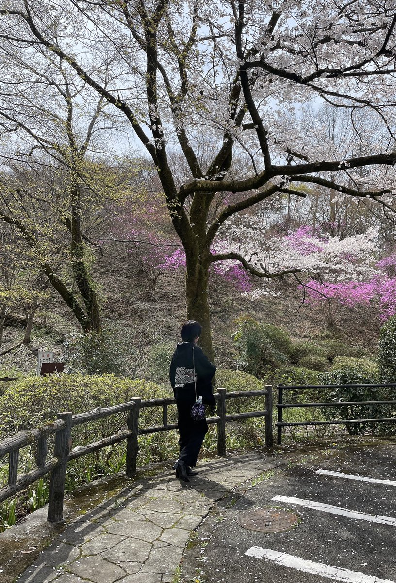 最近着物を着る機会を少しずつ作れていて嬉しい限りです🌸