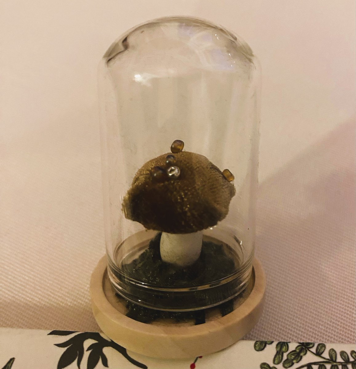 We had a great time at this month's stanza group meeting. Some wonderful poems and we used a model toadstool under a dome as our prompt - as you do! #poetry #lovepoetry #wisbech
