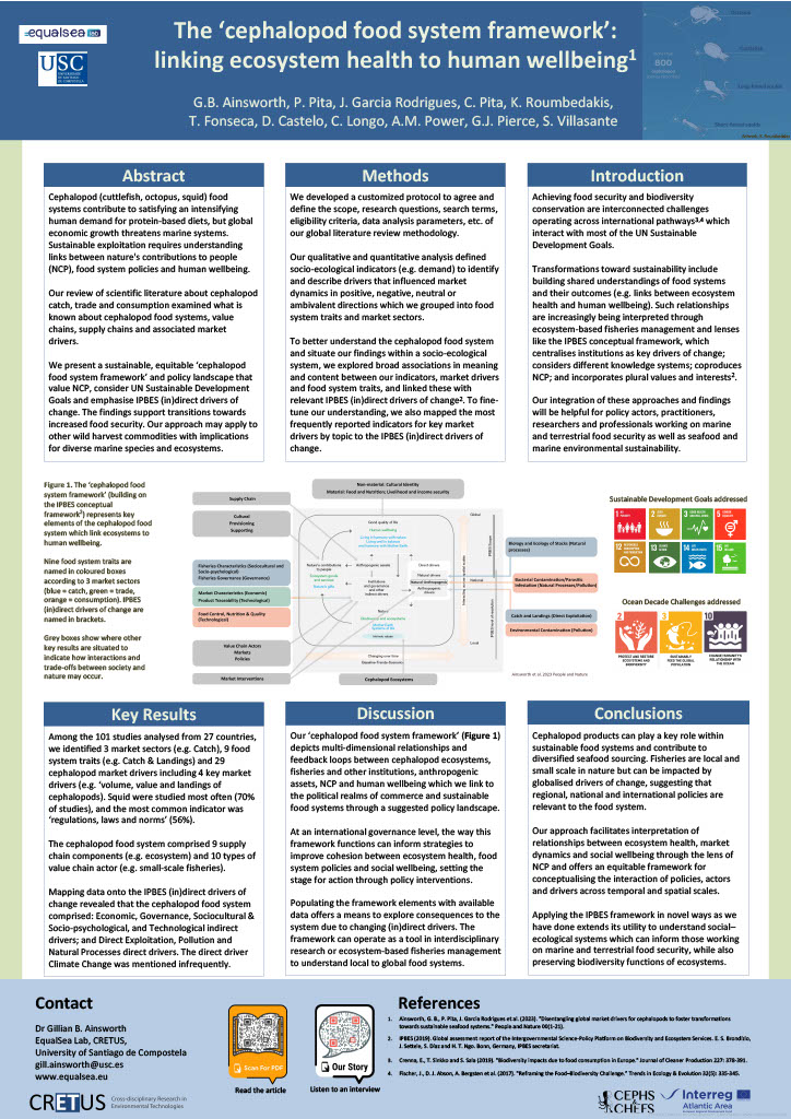 Read about our ‘cephalopod food system framework’ at the @UNOceanDecade poster sessions 9, 10 April, highlighting #transformations towards #sustainablefoodsystems by linking #ecosystemhealth to #humanwellbeing @sebvillasante @BarnacleHunt @roumbedakis @KTLongo @Cristina_B_Pita