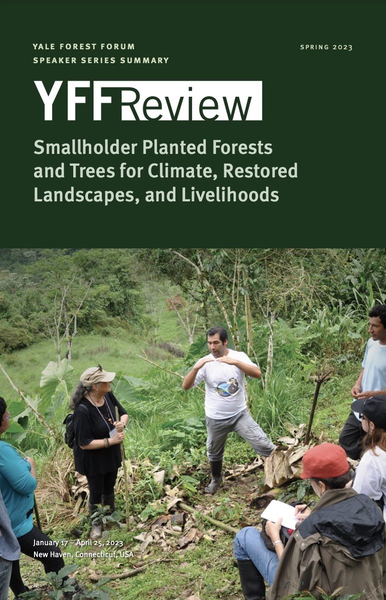 🌳 Excited to share the YFF Review of our spring 2023 series, “Smallholder Planted Forests and Trees for Climate, Restored Landscapes, and Livelihoods.” A significant portion of planted forests are owned by smallholders. What's their future? yff.yale.edu/sites/default/…