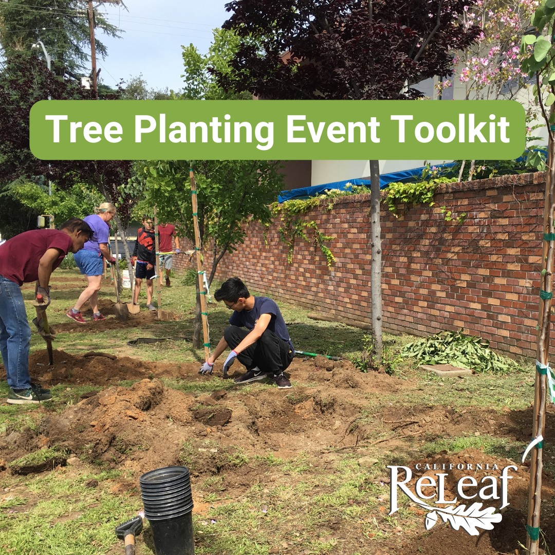 Looking to host a tree-planting event and need some help in planning? We have a resource to help you get started! Check out our Tree Planting Event Toolkit on our website californiareleaf.org/reso.../event-…