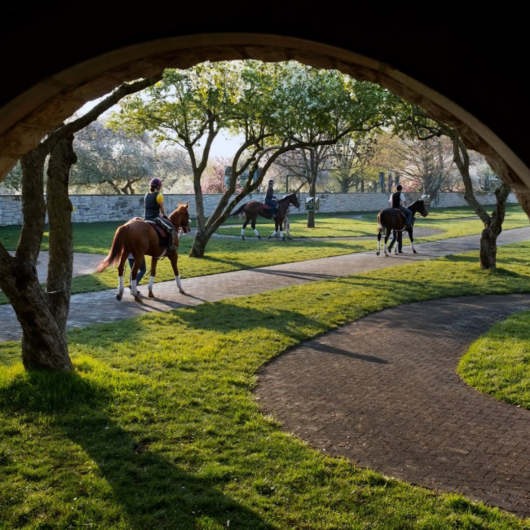 🌸 Saddle up for the ultimate Spring Meet experience at @keeneland in Lexington, KY! 🏇✨ Visit the historic racetrack from April 5 - April 26 for unmatched views of exhilarating horse racing, expertly crafted cocktails and bites and unforgettable moments: gaytravel.com/gay-guides/lex…