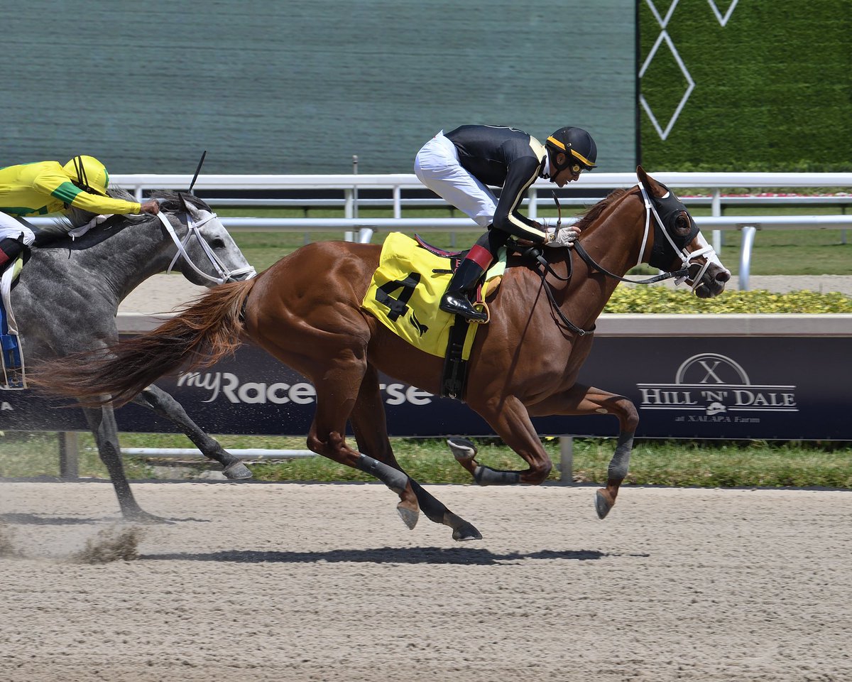 #8Apr English Bob Jockey: Edwin Gonzalez Trainer: Carlos David Owner: David Racing LLC Claiming $12,500 • Dirt 3️⃣rd victory for Carlos David #GulfstreamPark #RoyalPalmMeet Sunday, April 7, 2024 📸 @coglianesephoto / Lauren King / @RyanFromChicago