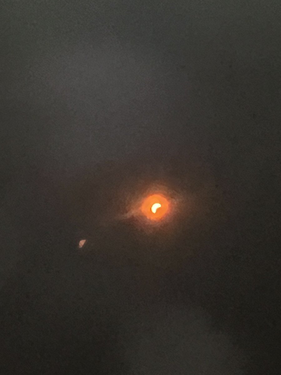 Partial eclipse today. I’m going to Madrid in 2026! What I loved most about today was the shared humanity and spontaneous party atmosphere. It was awesome! ❤️🍀🌞🌑✨