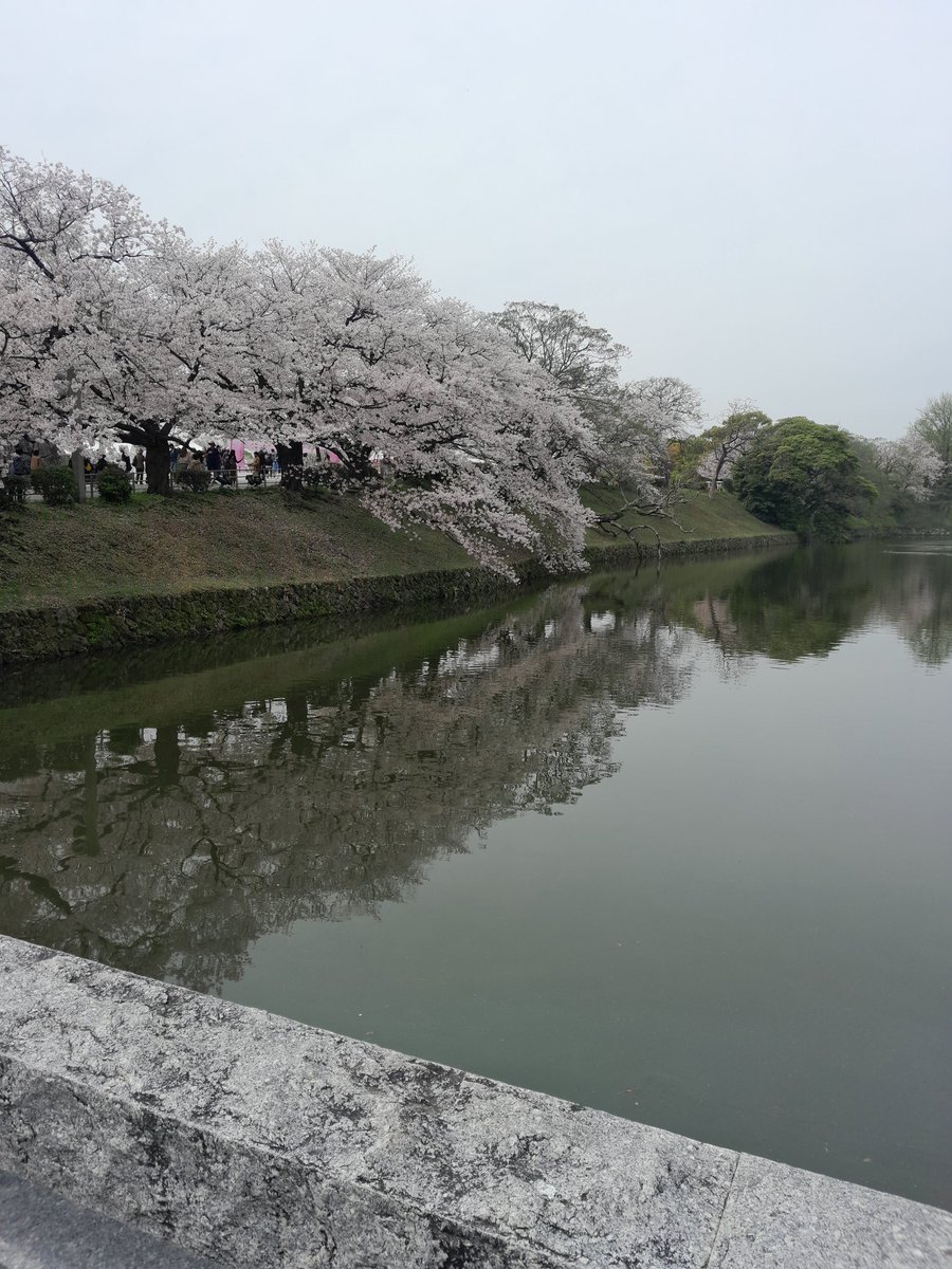 Japan has been amazing. Time to come home!