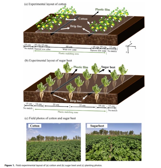 Optimizing #biochar application is vital for enhancing #crop #production and ensuring #sustainable #agricultural #production. See results from our three year field experiment in collaboration with Northwest A&F University & @IOA_UWA @UWAresearch onlinelibrary.wiley.com/doi/10.1002/js…