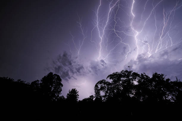 TreeDickson's tweet photo. Spring storms can wreak havoc on your trees and property. Our storm damage clean-up services are designed to quickly and safely remove any fallen or damaged trees and branches. We'll work efficiently to get your property back to its pre-storm condition and ensure your safety. https://t.co/jbItre6NU7